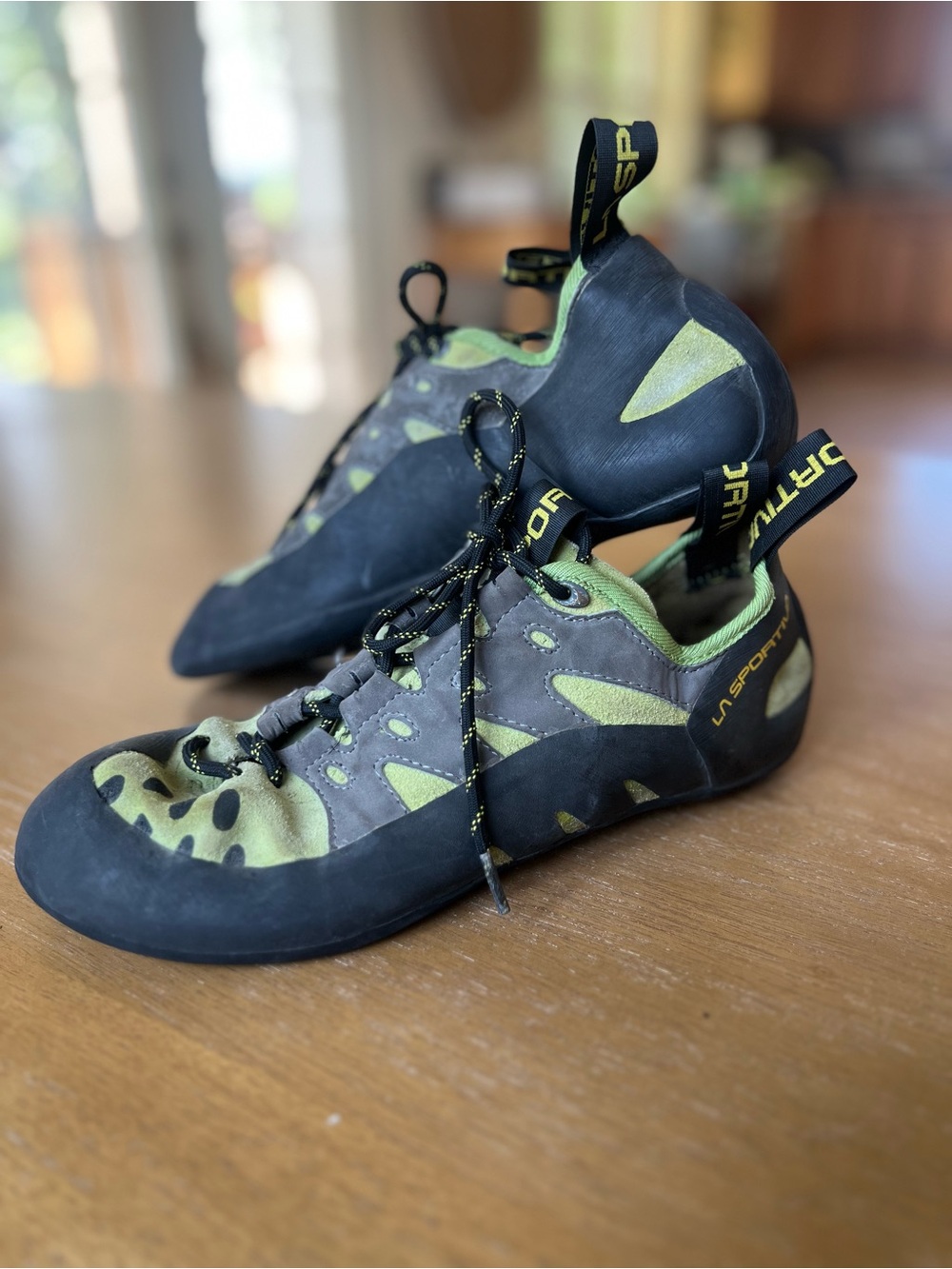 La Sportiva Tarantulace Climbing Shoes (42)